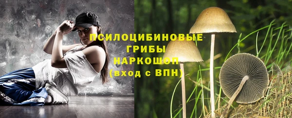 твердый Волоколамск