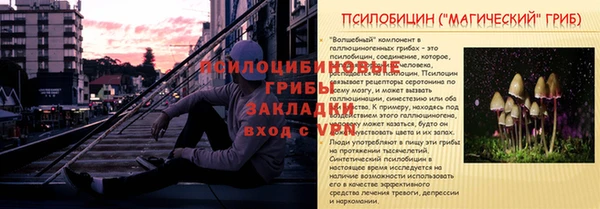 твердый Волоколамск