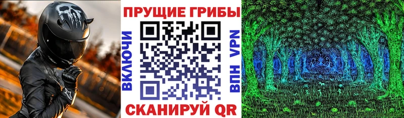 Псилоцибиновые грибы Psilocybine cubensis  где продают наркотики  Новоржев 